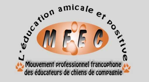 Logo MFEC